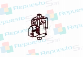 VALV.GAS (36800680)1.0
