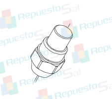 Producto BOQUILLA QUEMADOR (0,60 45º H) EVOLUTION 40