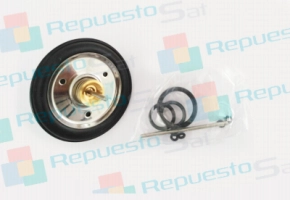 MEMBRANA (0020002618)